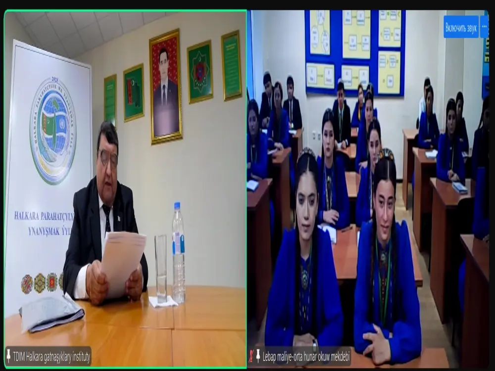 Tele-köpri arkaly webinar geçirildi